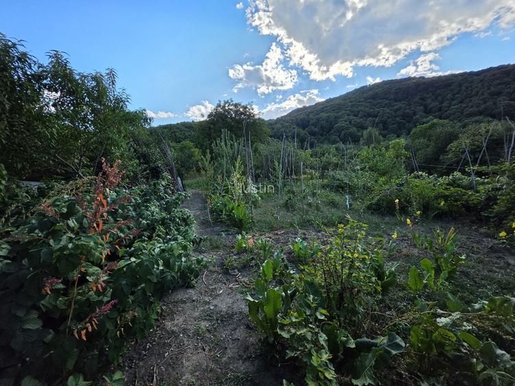 Casa de vanzare in Targu Ocna plus teren 2700 mp