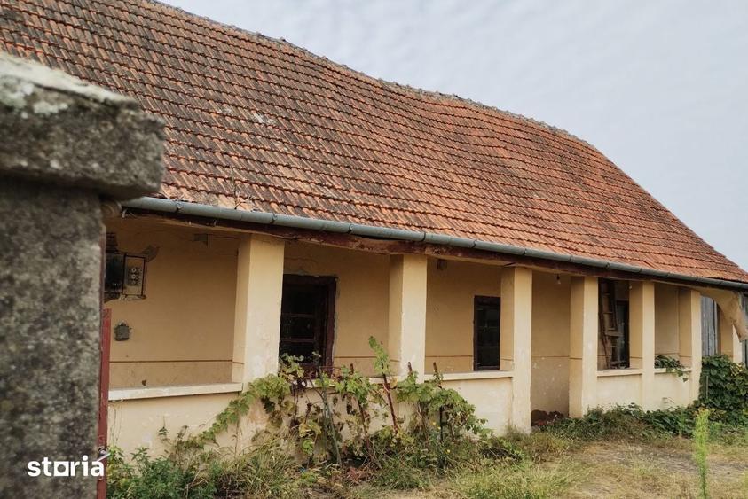 Casa veche din 1955 si teren intravilan 6153 mp, Sinersig,Jud Timis - 5