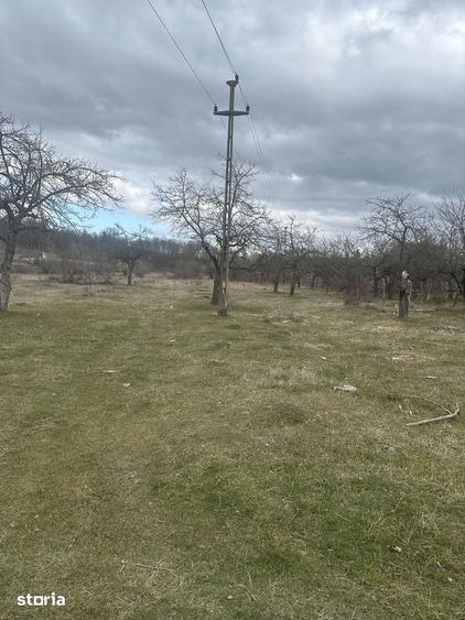 Teren de 4400 mp, în Voila