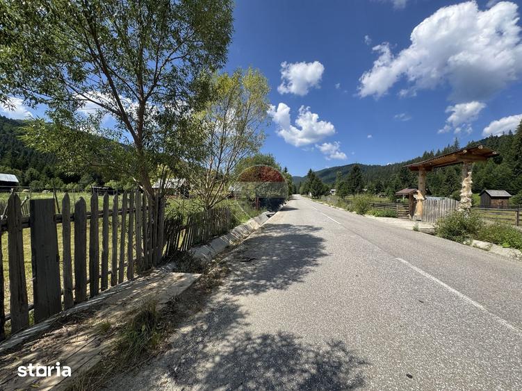 Teren de 2802 mp, în Borca