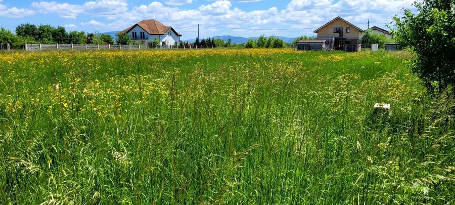 Teren Construcții intravilan de 5700 mp, în Podu Oltului