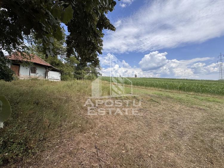 Teren Construcții intravilan de 7492 mp, în Fornădia