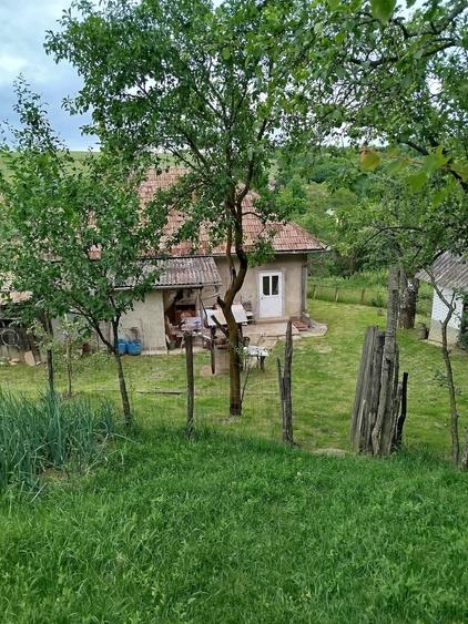 Casă cu Teren 3400 Mp în Mociu
