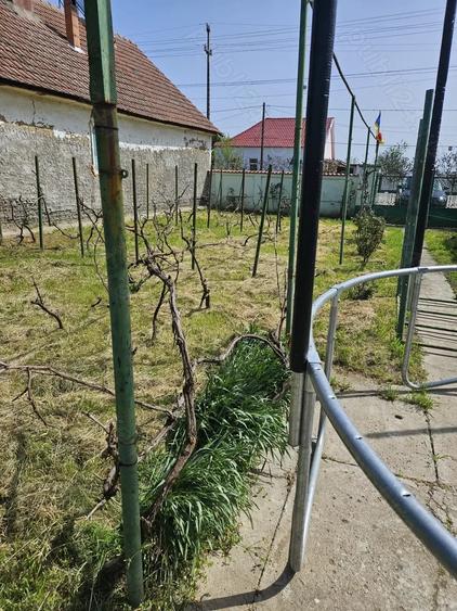 Casă cu Teren 1996 Mp în Giulvăz