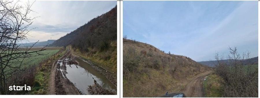 Teren de 18800 mp, în Deleni