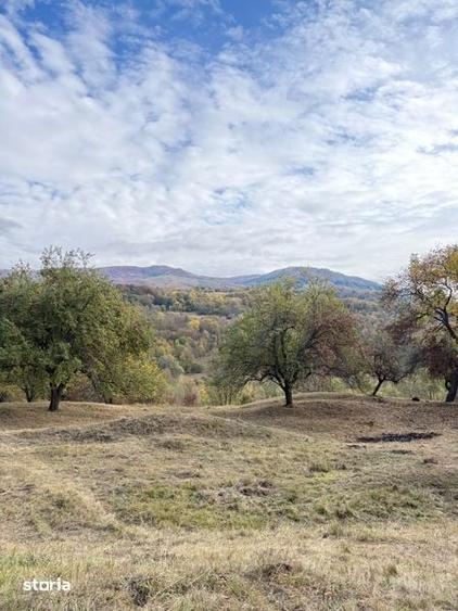 Teren de 8260 mp, în Corbi