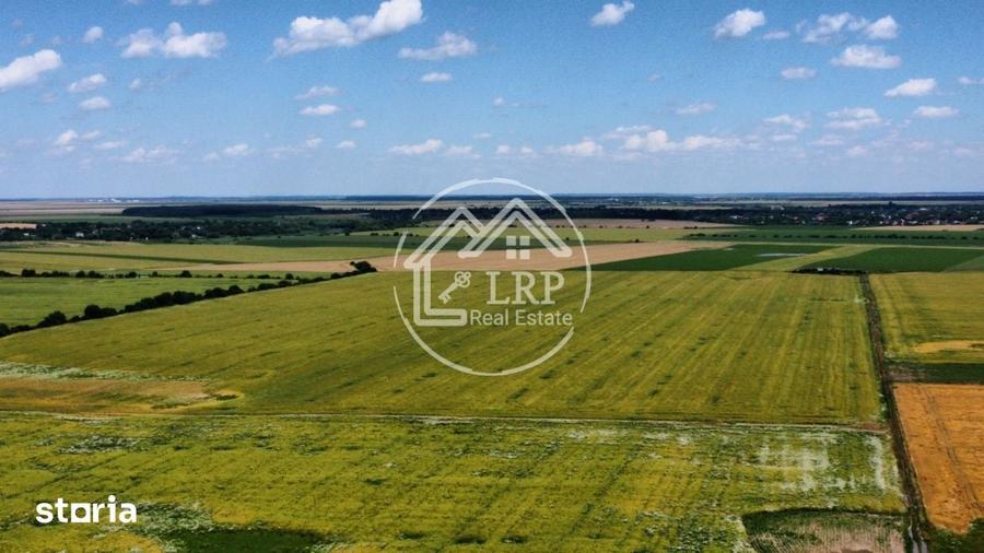 Teren de 20000 mp, în Dascălu