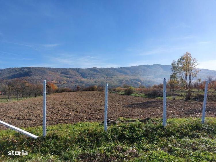 Teren de 4316 mp, în Fârdea