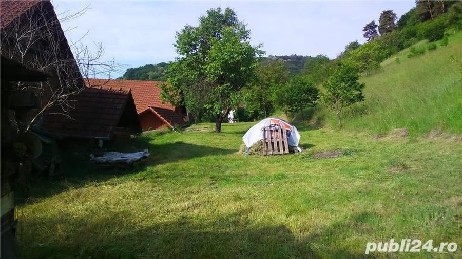 Teren în Central