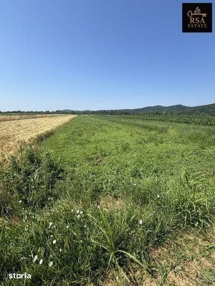 Teren de 2540 mp, în Mihăești