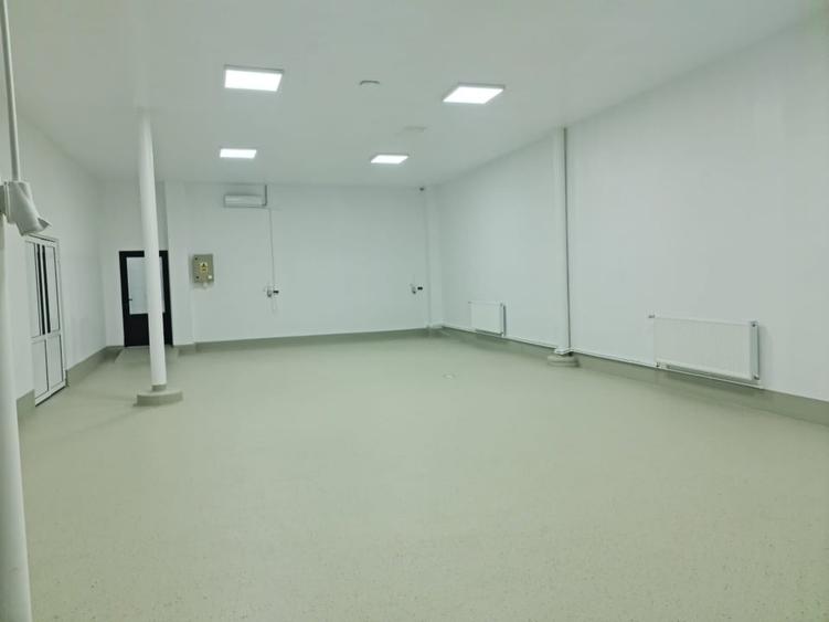 Spațiu industrial, de 604 mp, în Vânători