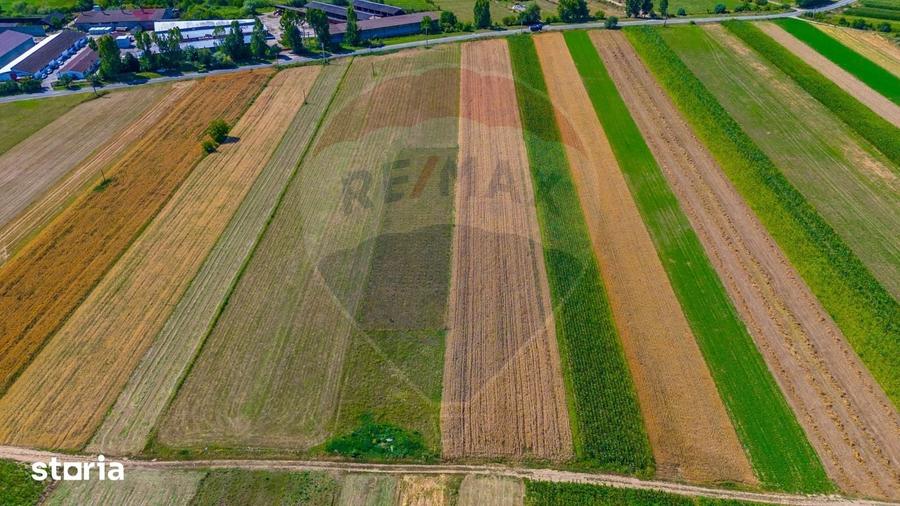 Teren de 7000 mp, în Teliu