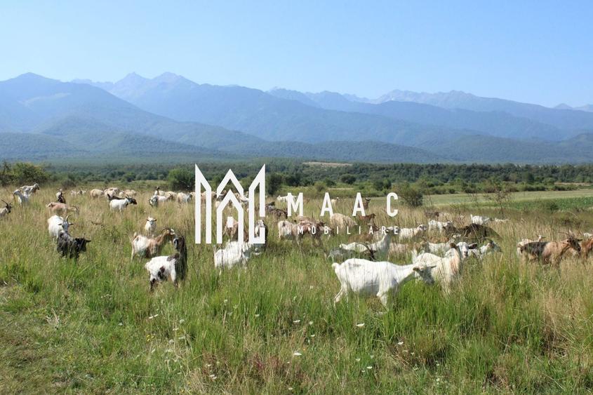 Teren agricol extravilan de 3900 mp, în Arpașu de Sus