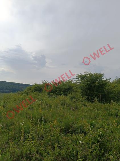 Teren Construcții intravilan de 7900 mp, în Livezeni