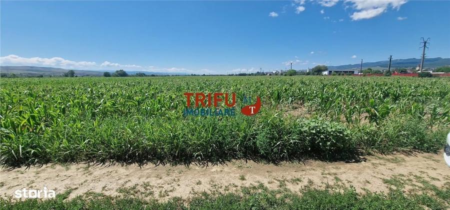 Teren de vanzare langa soseaua de centura, 5100 mp - 5