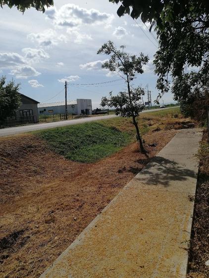 Casă cu 2 camere cu Teren 2000 Mp în Călienii Noi
