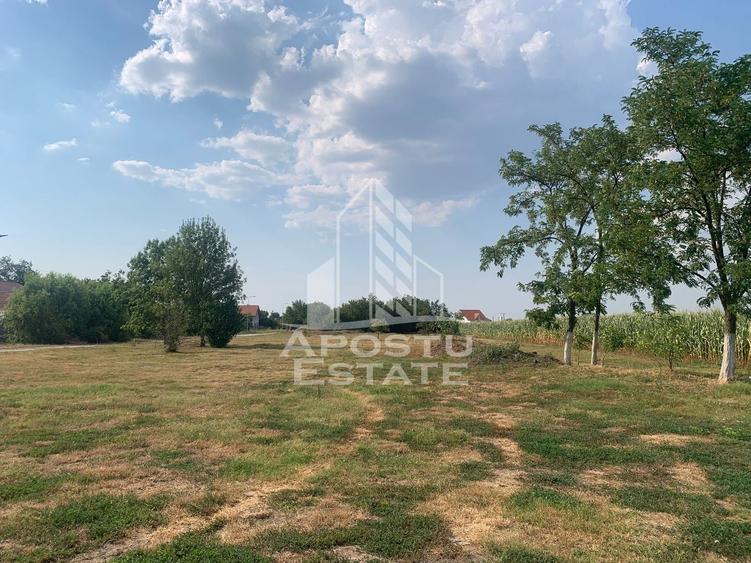 Teren Construcții intravilan de 3840 mp, în Turnu