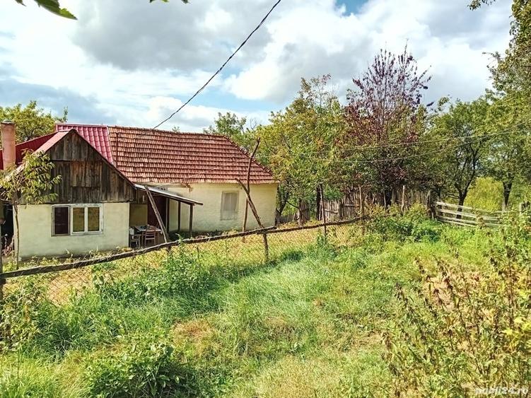 Teren de 50 mp, în Central