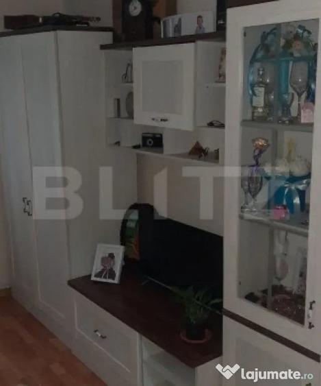 Apartament cu 3 camere semidecomandat în Carpați 1