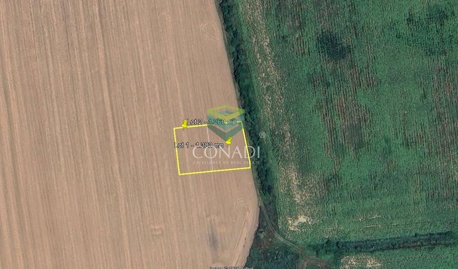 Teren Construcții intravilan de 2643 mp, în Nord