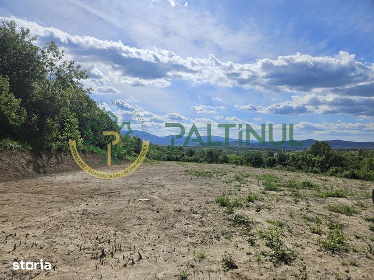 Teren de 3000 mp, în Central