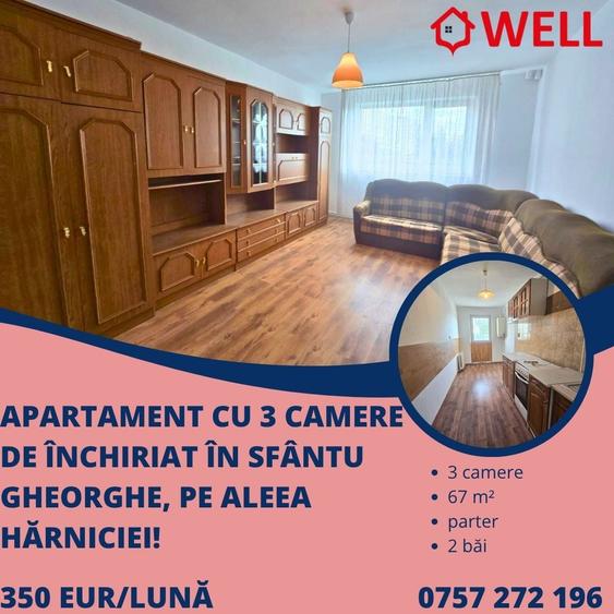 Apartament cu 3 camere de închiriat în Sfântu Gheorghe, pe Aleea Hărniciei! - 1