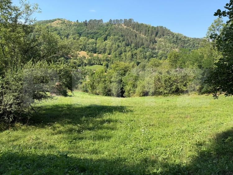 Teren Construcții intravilan de 6505 mp, în Ocoliș