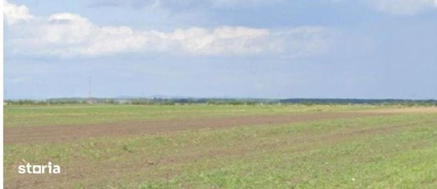 Teren de 5000 mp, în Mănești