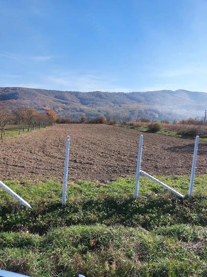 Teren de 4316 mp, în Fârdea