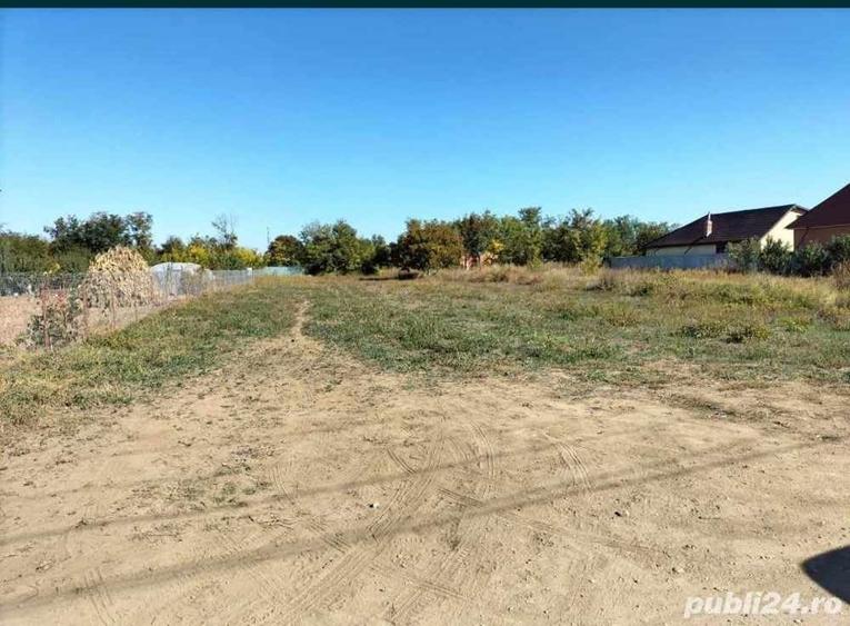Teren de 2500 mp, în Cazasu