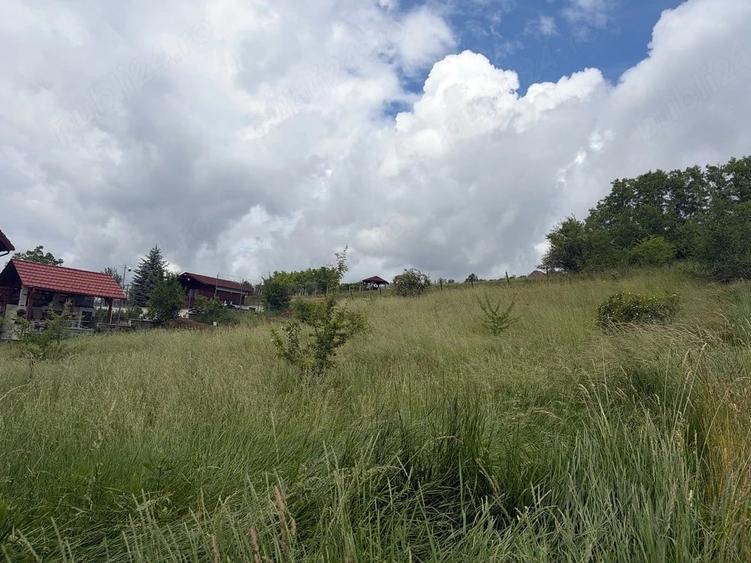 Teren de 1011 mp, în Corunca