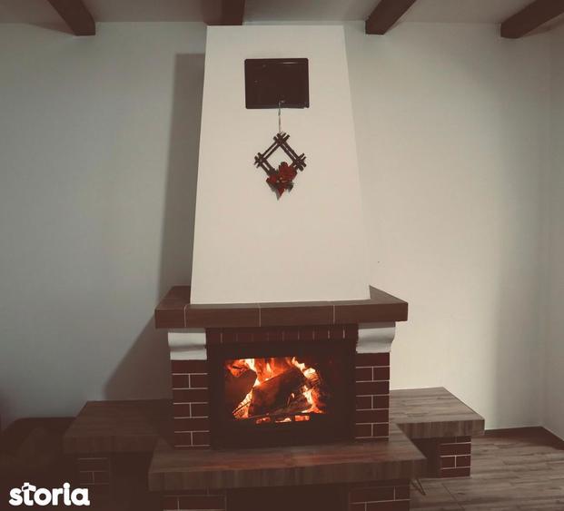 Casa de vacanta cu 5 camere si iesire la rau in Raul Sadului - 9