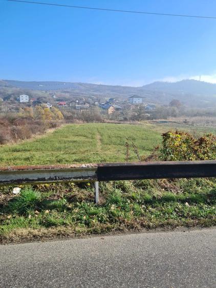 Teren de 4000 mp, în Buleta