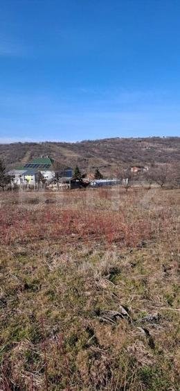 Teren Construcții intravilan de 860 mp, în Podgoria
