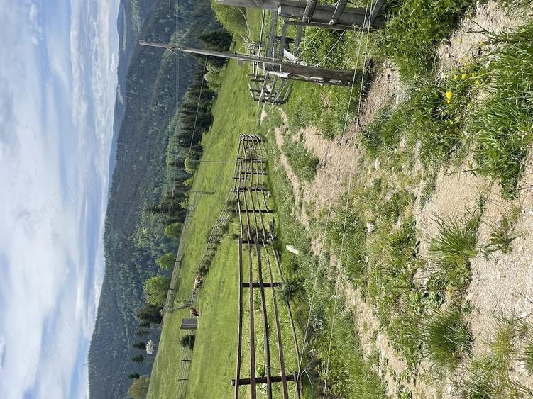Teren de 7000 mp, în Măguri