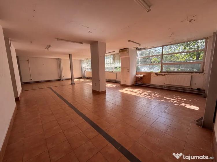 Spațiu comercial, de 269 mp, în Costin Georgian