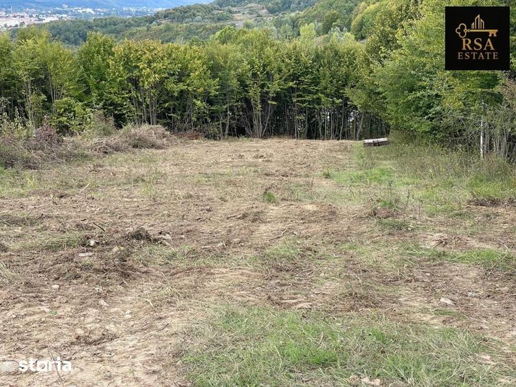 Teren de 3000 mp, în Budești