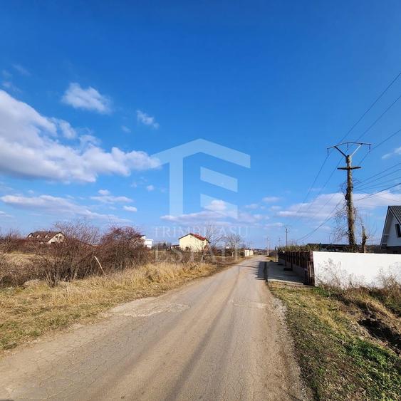 Teren Construcții intravilan de 5000 mp, în Vlădiceasca