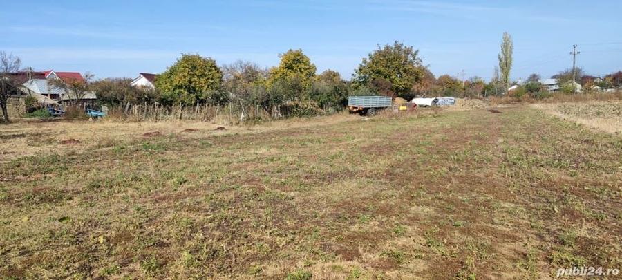 Teren de 3200 mp, în Schineni (Sascut)