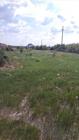 Teren de 3000 mp, în Mândruloc
