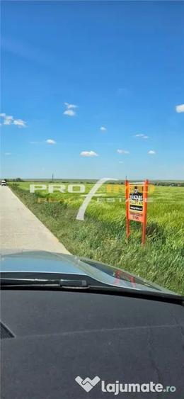 Plaja Corbu-Teren 4200mp. la numai 8 euro /mp. Soseaua asfal - 13