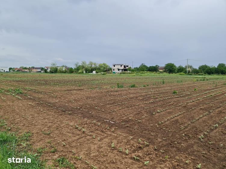Teren de 1500 mp, în Moara Vlăsiei