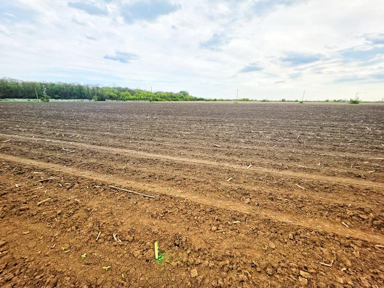 Teren Construcții intravilan de 7900 mp, în Bucov