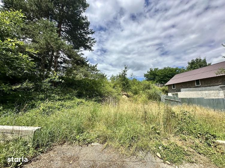 Teren intravilan de vanzare Sacele, Str. Highisului 3.600 mp - 4
