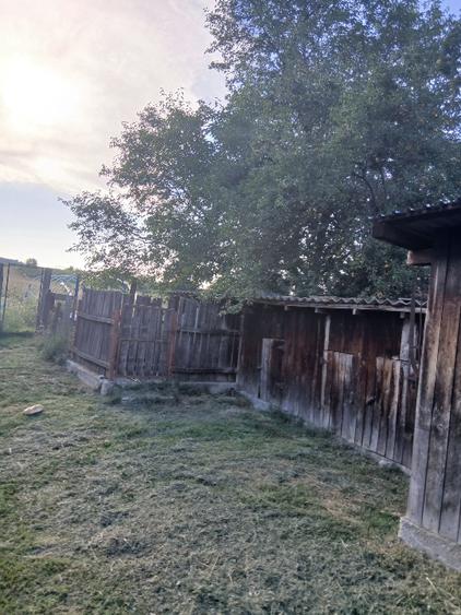 Casă individuală cu 3 camere cu Teren 4501 Mp în Livezi