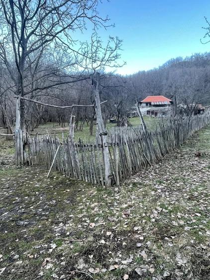 Casă cu Teren 15000 Mp în Central