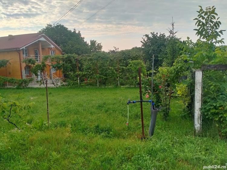 Teren în Central
