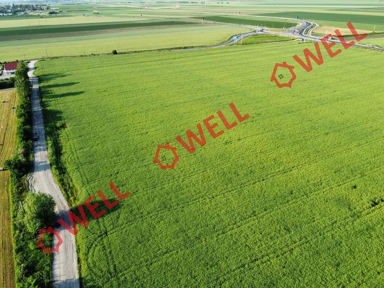 Teren agricol extravilan de 45000 mp, în Chichiș