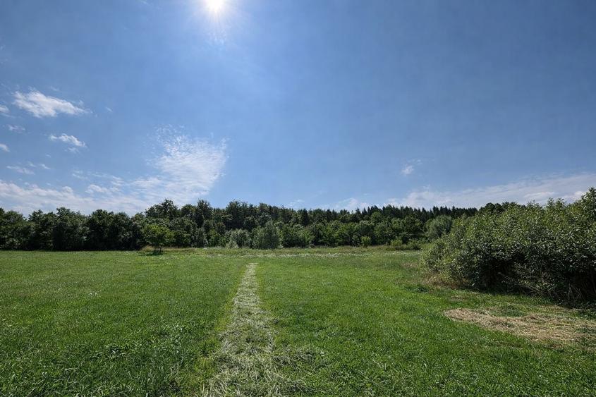 Teren agricol extravilan de 3600 mp, în Horodnic de Sus