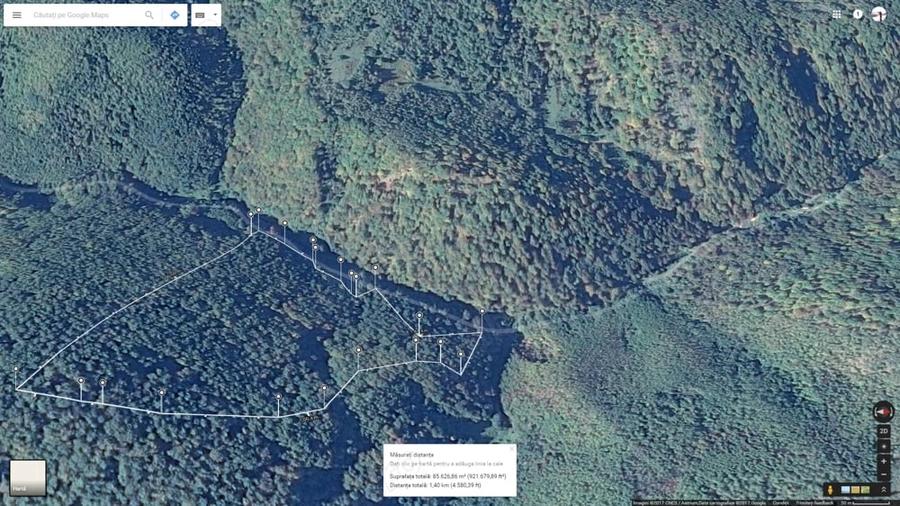 Teren de 85000 mp, în Dobra